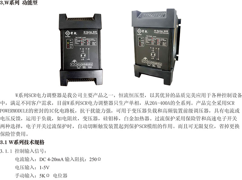 W系列 電力調(diào)整器 W1P-2V200-10(圖1)